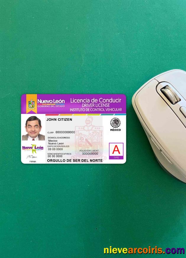 Mexico Nuevo Leon driving license photolook